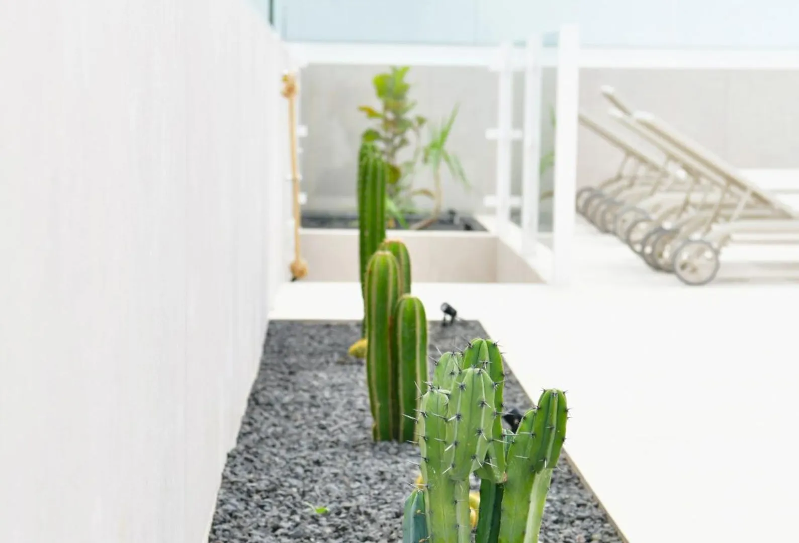 Villa Deluxy Mia Puerto del Carmen